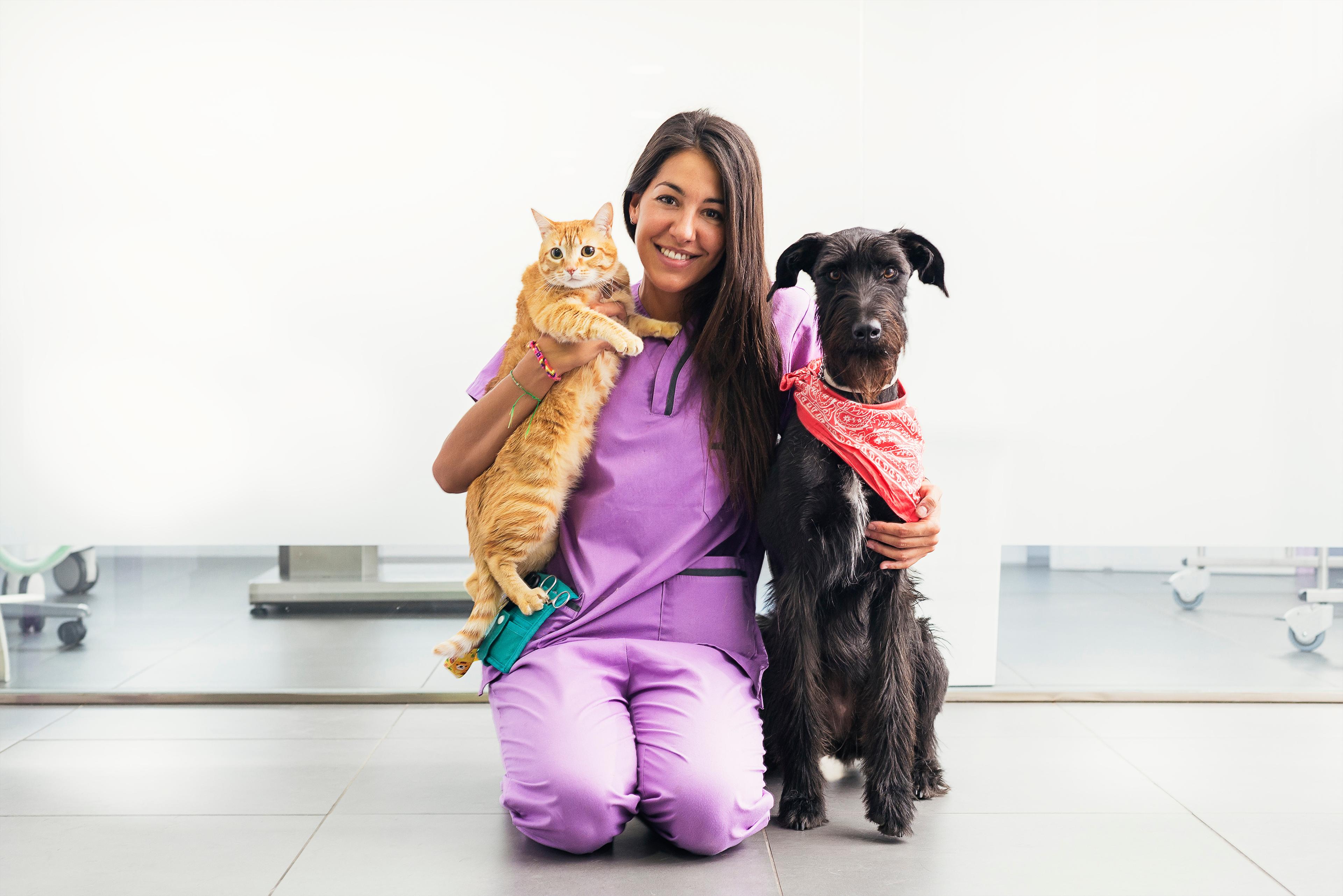 Profesional veterinario con mascota